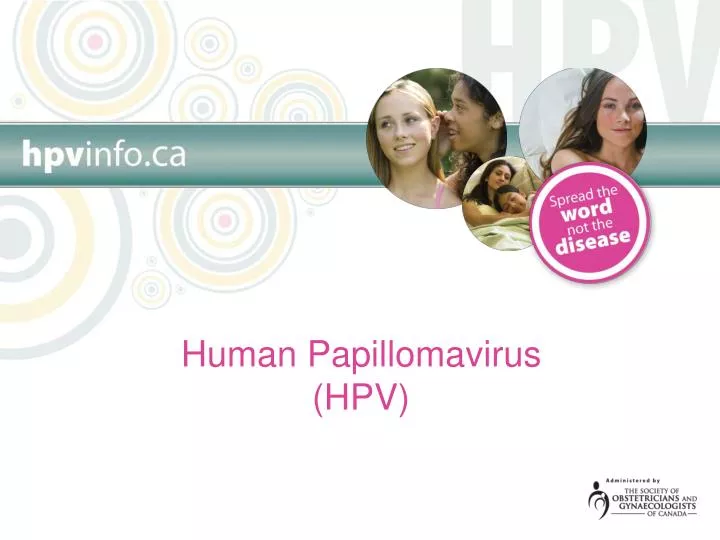 PPT Human Papillomavirus HPV PowerPoint Presentation Free Download ID