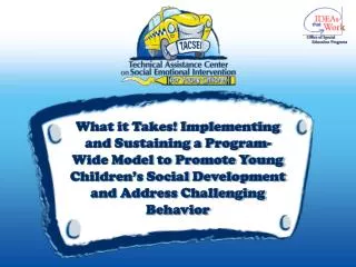 What it Takes! Implementing and Sustaining a Program-Wide Model to Promote Young Children’s Social Development and Addre