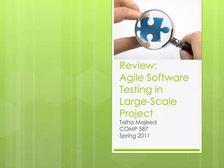 review agile software testing in large scale project