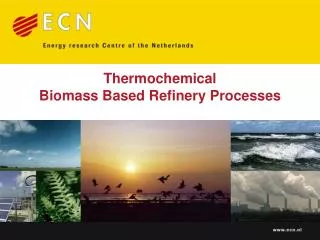 Thermochemical Biomass Based Refinery Processes