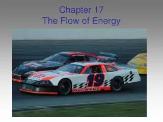 Chapter 17 The Flow of Energy