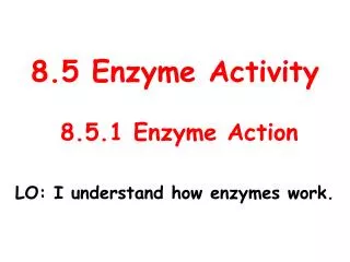 8.5 Enzyme Activity