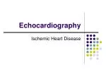 PPT - Basic Echocardiography PowerPoint Presentation, free download ...