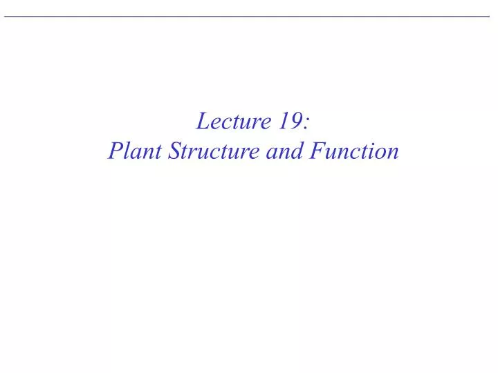 lecture 19 plant structure and function