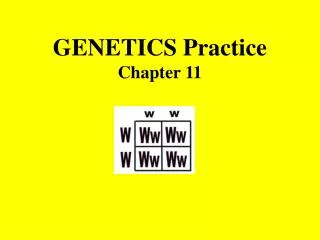 GENETICS Practice Chapter 11