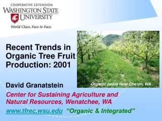 Recent Trends in Organic Tree Fruit Production: 2001