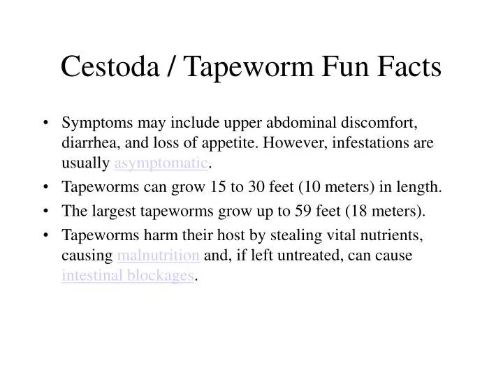 cestoda tapeworm fun facts
