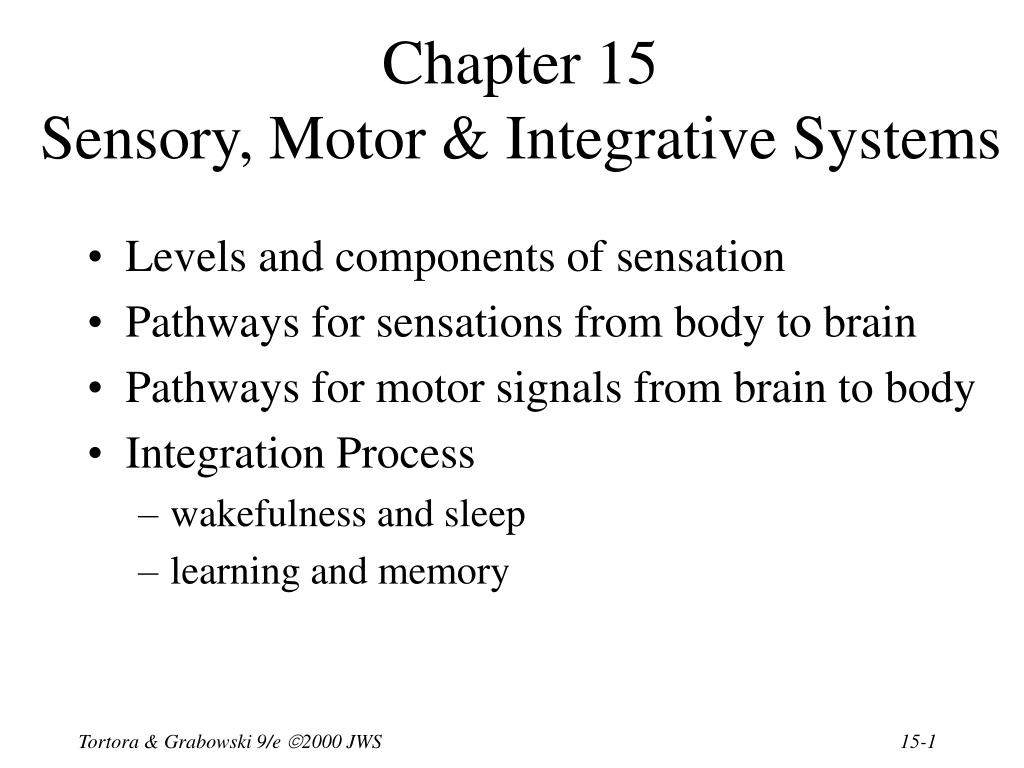 PPT - Chapter 15 Sensory, Motor & Integrative Systems PowerPoint ...