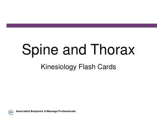 Spine and Thorax