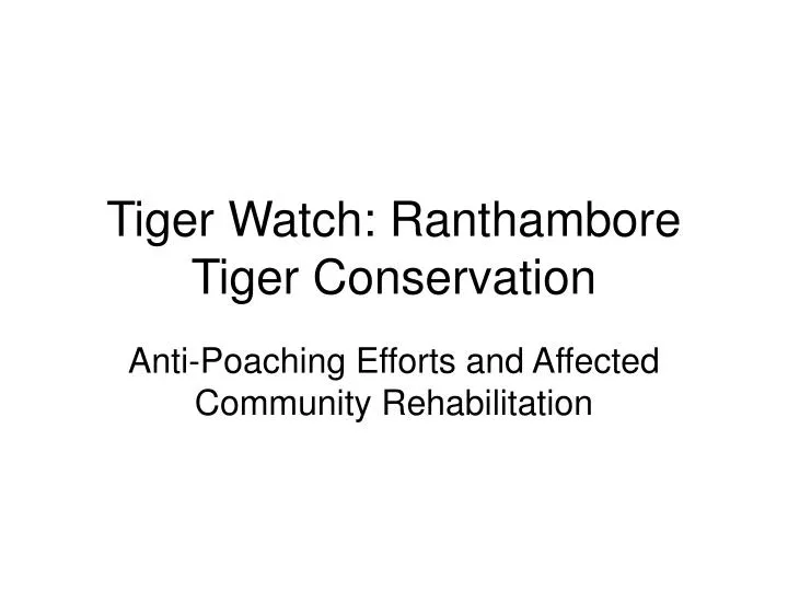 tiger watch ranthambore tiger conservation