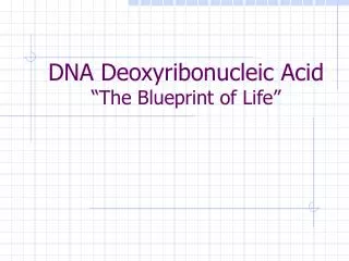 DNA Deoxyribonucleic Acid “The Blueprint of Life”