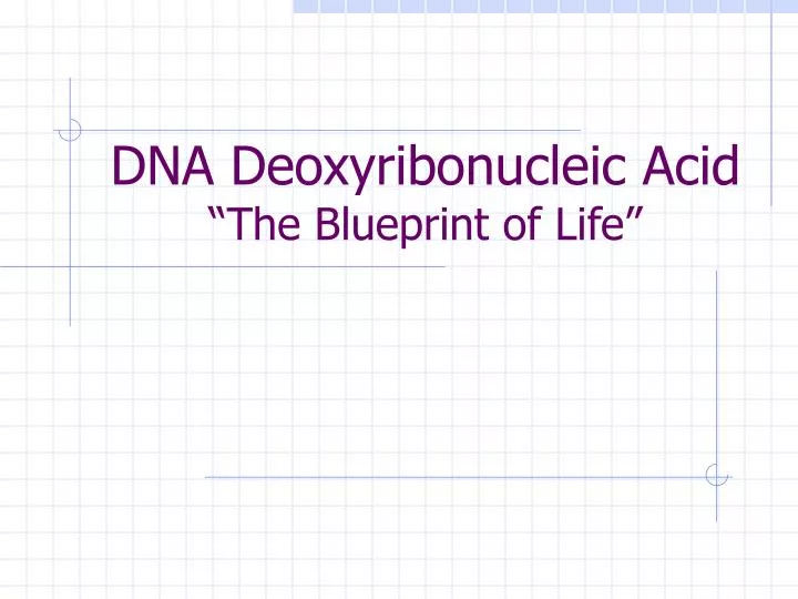 dna deoxyribonucleic acid the blueprint of life