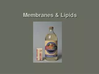 Membranes &amp; Lipids