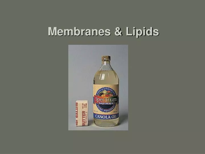 membranes lipids