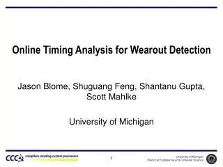 Online Timing Analysis for Wearout Detection