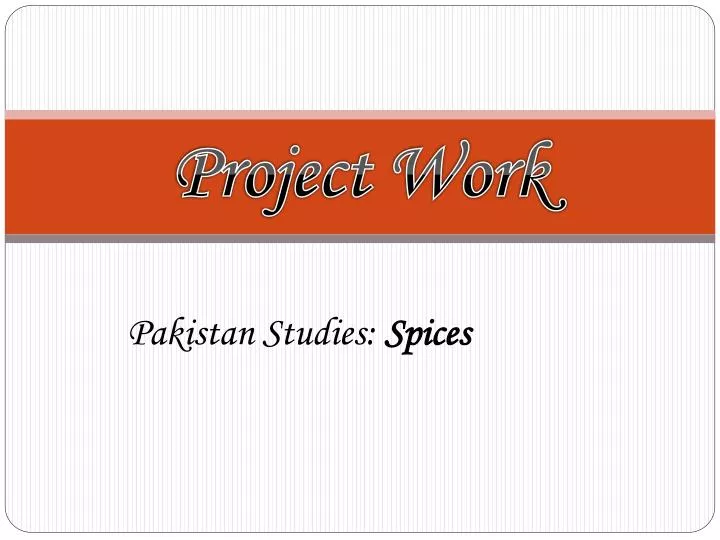 project work
