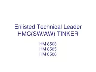 Enlisted Technical Leader HMC(SW/AW) TINKER