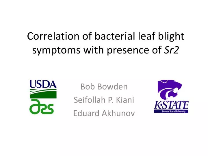 correlation of bacterial leaf blight symptoms with presence of sr2