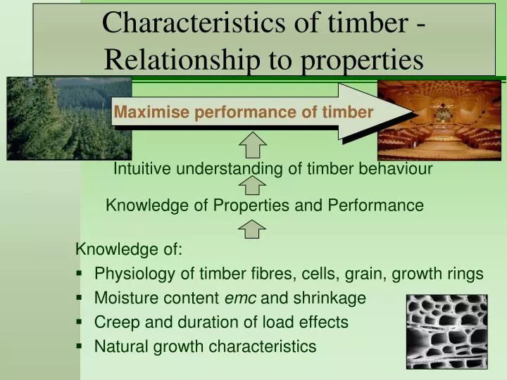 characteristics of timber relationship to properties