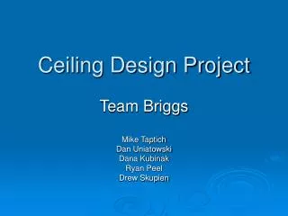 Ceiling Design Project