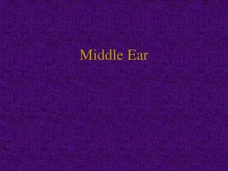 Middle Ear