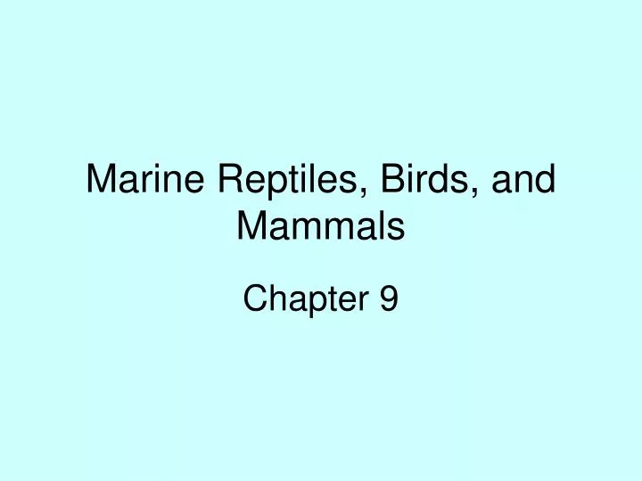 marine reptiles birds and mammals
