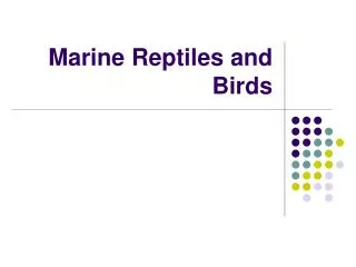 Marine Reptiles and Birds