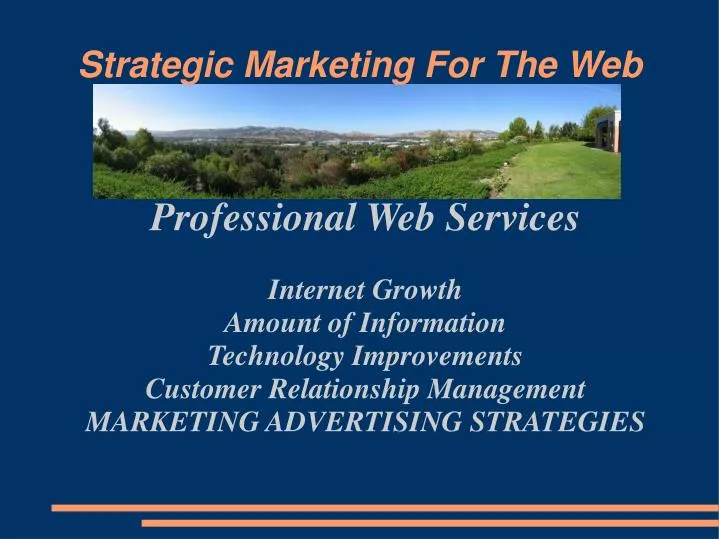 strategic marketing for the web