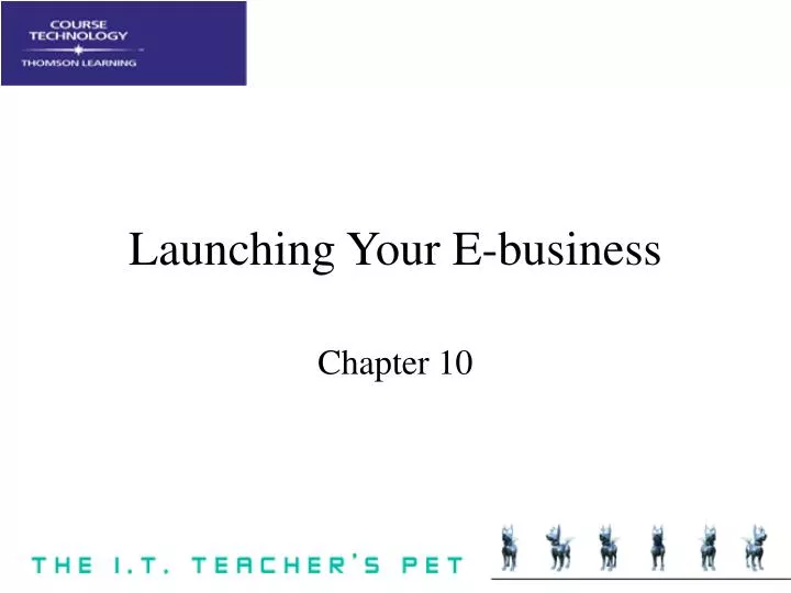 launching your e business