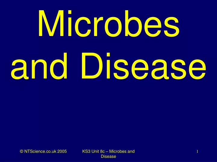 microbes and disease