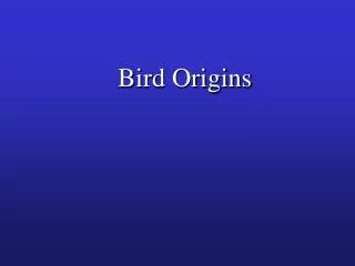 Bird Origins