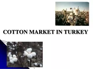 COTTON MARKET IN TURKEY