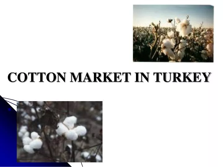 cotton market in turkey