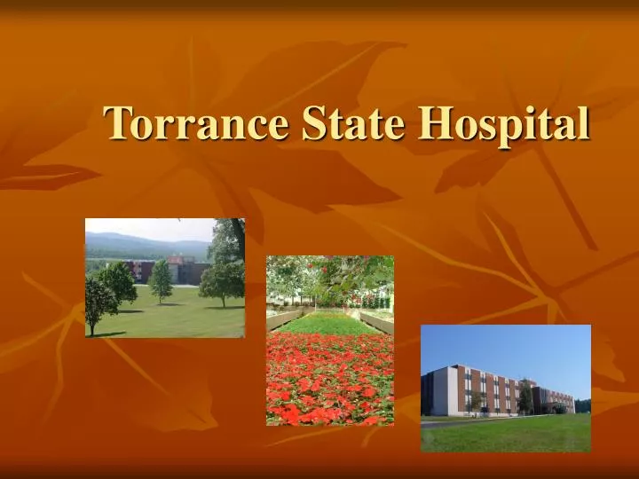 torrance state hospital