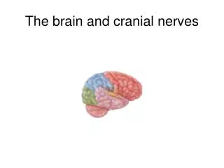 The brain and cranial nerves