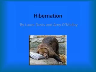 Hibernation