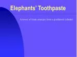 Elephants’ Toothpaste