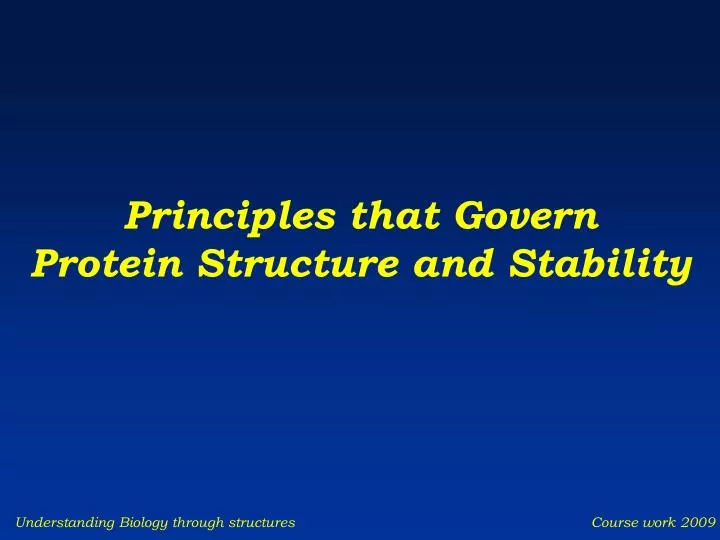 principles that govern protein structure and stability
