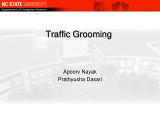 Traffic Grooming