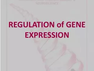 REGULATION of GENE EXPRESSION