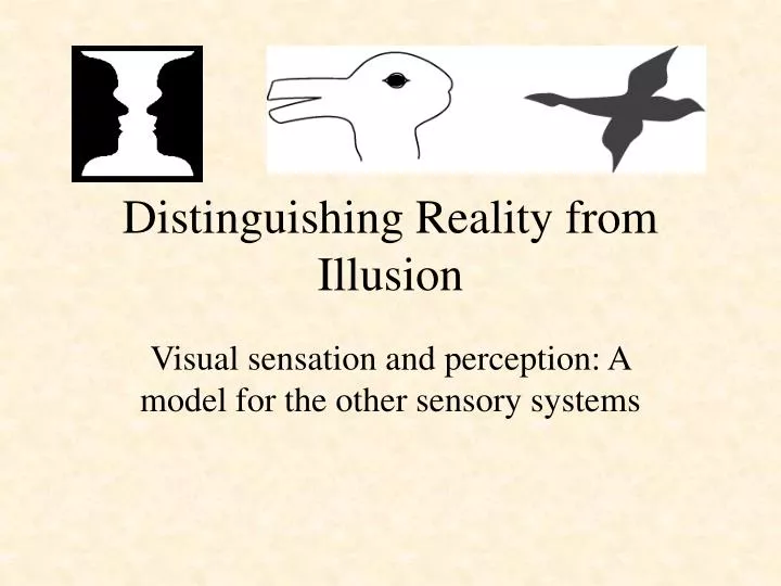 distinguishing reality from illusion