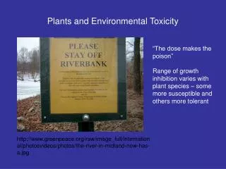 Plants and Environmental Toxicity