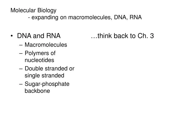 molecular biology expanding on macromolecules dna rna