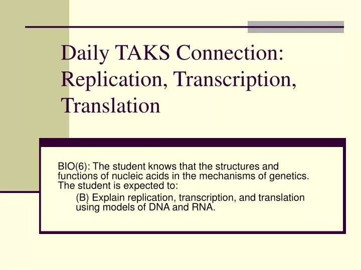 daily taks connection replication transcription translation
