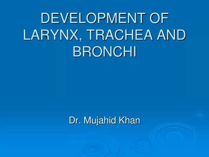 development of larynx trachea and bronchi