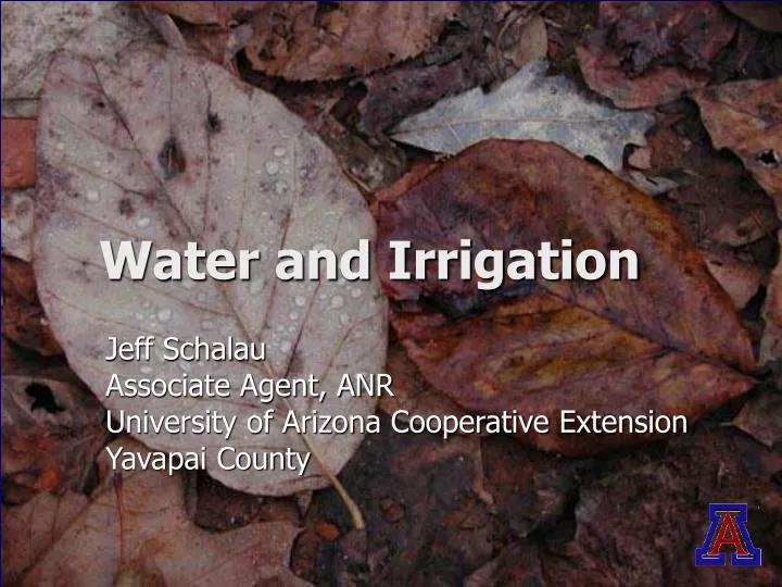 water and irrigation