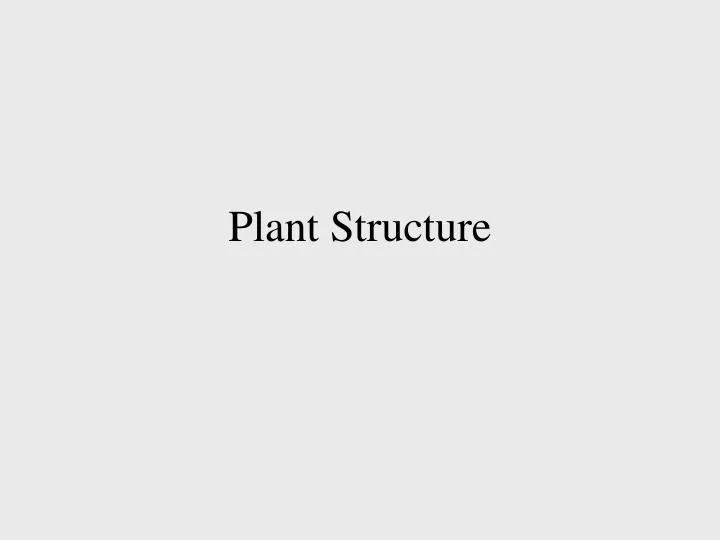 plant structure
