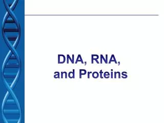 DNA, RNA, and Proteins