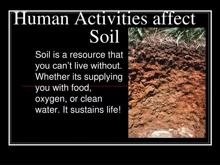 human activities affect soil