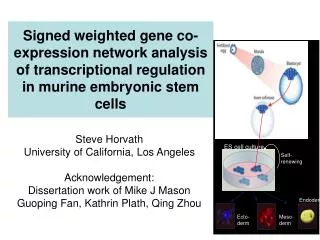 Signed weighted gene co-expression network analysis of transcriptional regulation in murine embryonic stem cells